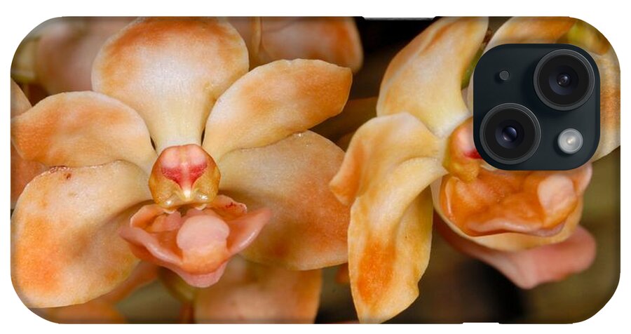 Orchid iPhone Case featuring the photograph Orchid 392 by Wesley Elsberry