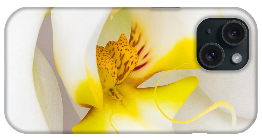 Orchid iPhone Case featuring the photograph Orchid 4 by Patricia Schaefer