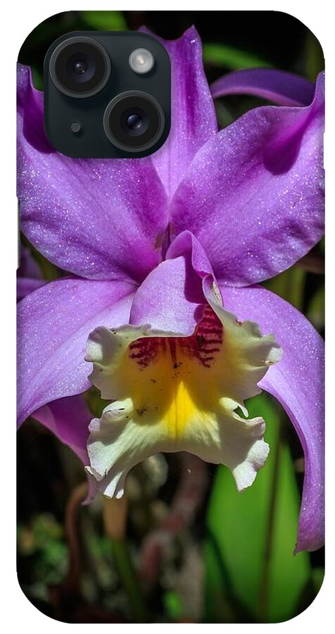 Purple iPhone Case featuring the photograph Orchid by Christopher Perez