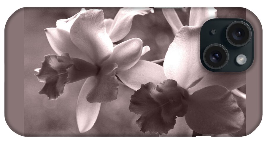 Orchids iPhone Case featuring the photograph Orchid Dream - square by Kerri Ligatich