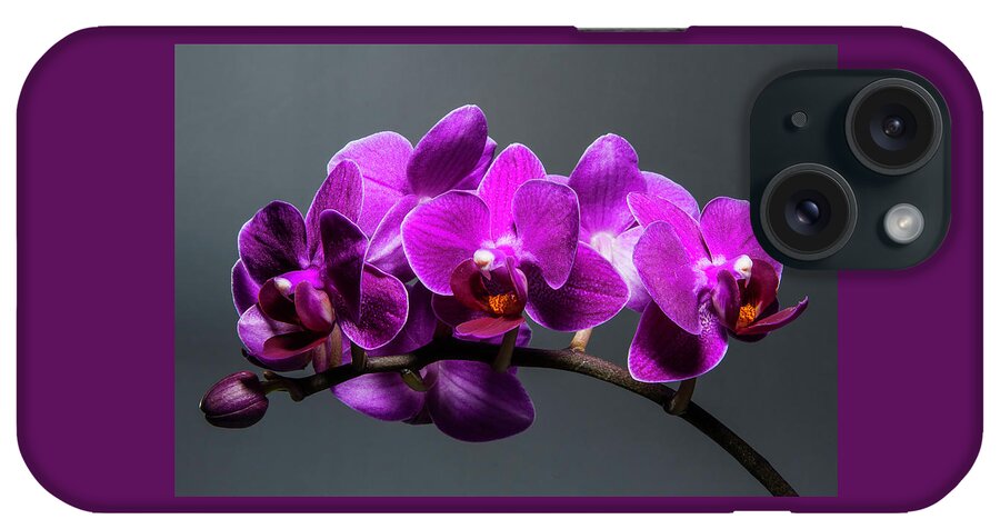 Purple iPhone Case featuring the photograph Orchid by John Roach
