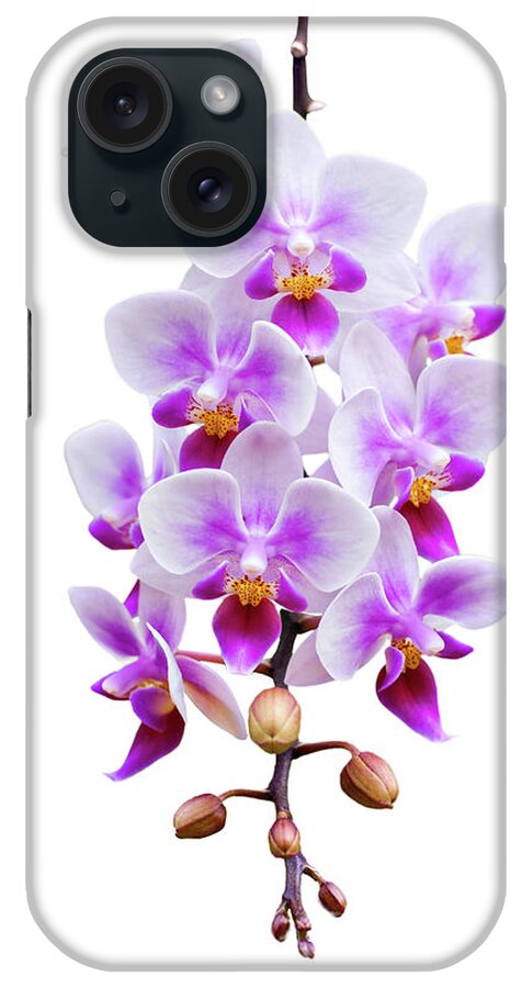 Orchid iPhone Case featuring the photograph Orchid by Meirion Matthias