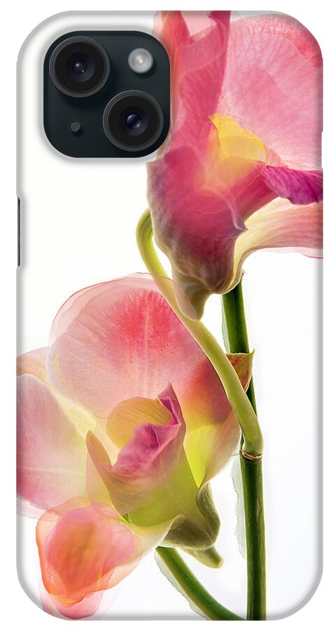 Orchids iPhone Case featuring the photograph Orchid Morphing II by Leda Robertson