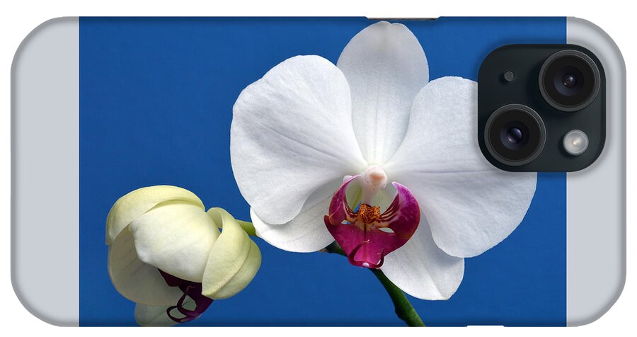 Orchid iPhone Case featuring the photograph Orchid Out Of The Blue. by Terence Davis