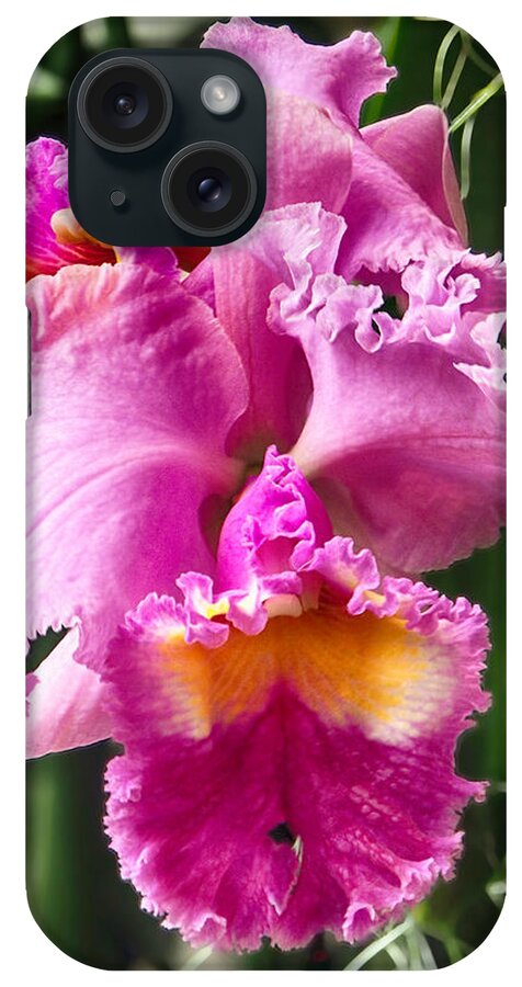 Orchid iPhone Case featuring the photograph Orchid Rhyncholaeliocattleya by C H Apperson