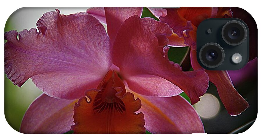 Large Lavender Orchids iPhone Case featuring the photograph Orchids 1 by Karen McKenzie McAdoo