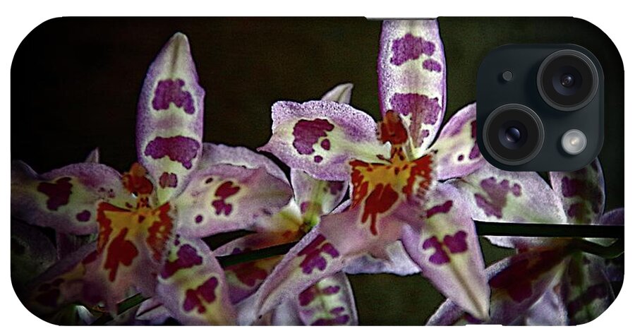Spotted Orchids iPhone Case featuring the photograph Orchids 16 by Karen McKenzie McAdoo