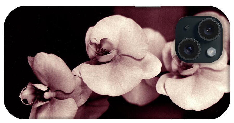 Orchids iPhone Case featuring the photograph Orchids Hawaii by Mukta Gupta