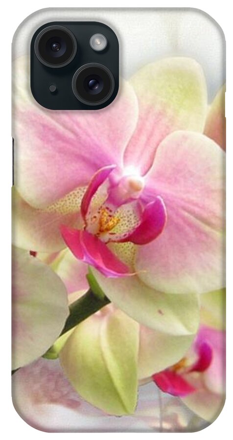 Orchids iPhone Case featuring the photograph Pretty Orchid by Morag Bates