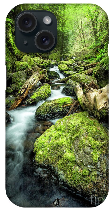  Oregon iPhone Case featuring the photograph Oregon Stream 1 by Timothy Hacker