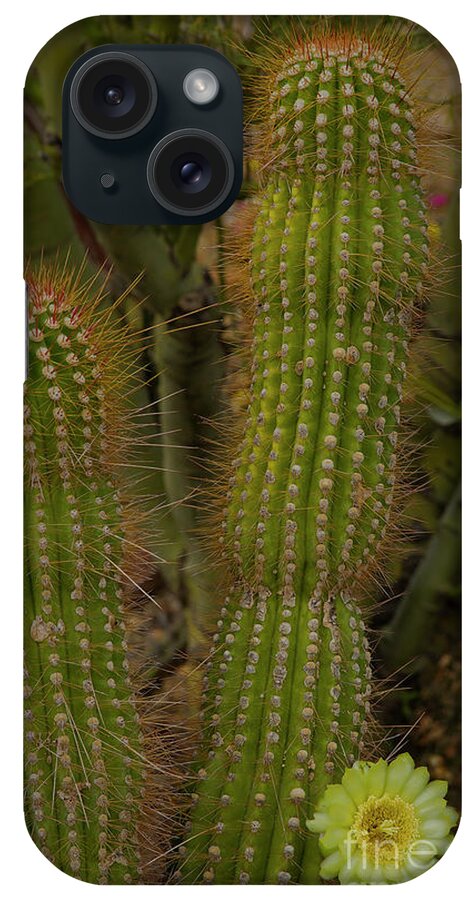 Organ Pipe Cactus iPhone Case featuring the photograph Organ Pipe Cactus Bloom-Signed-#3432 by J L Woody Wooden