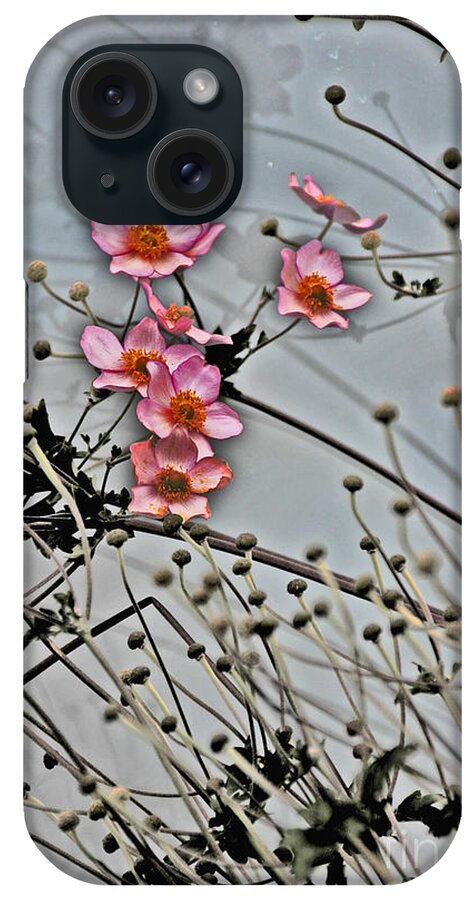 Flower iPhone Case featuring the photograph Oriental Rose by David Frederick