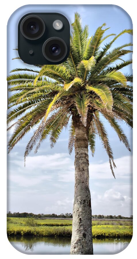 Ormond Beach iPhone Case featuring the photograph Ormond Loop Palm by Deborah Benoit
