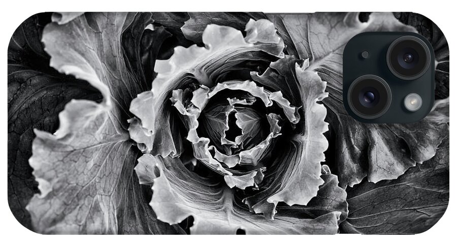Brassica Oleracea iPhone Case featuring the photograph Ornamental Cabbage Monochrome by Tim Gainey