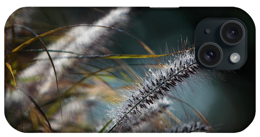 Autumn iPhone Case featuring the photograph Ornamental Grass in Autumn by Steve Gravano