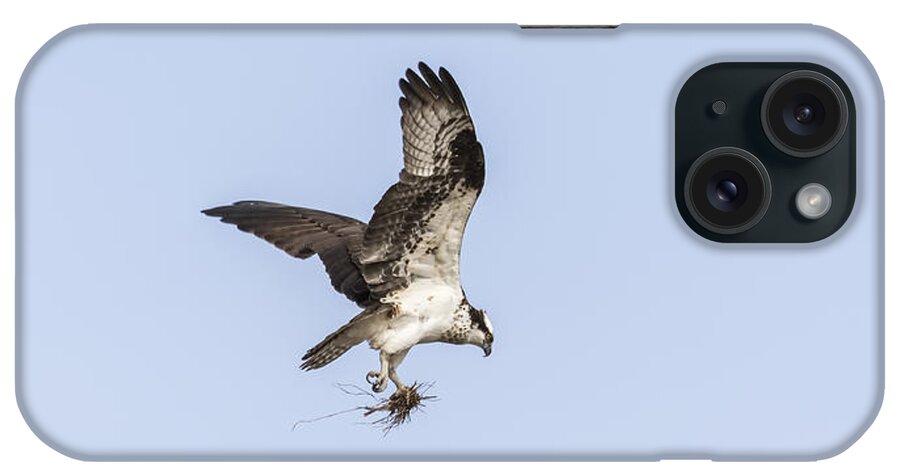 Osprey iPhone Case featuring the photograph Osprey 2016-6 by Thomas Young