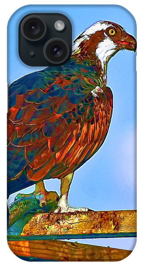 Osprey And Fish iPhone Case featuring the photograph Osprey and Fish by Ginger Wakem