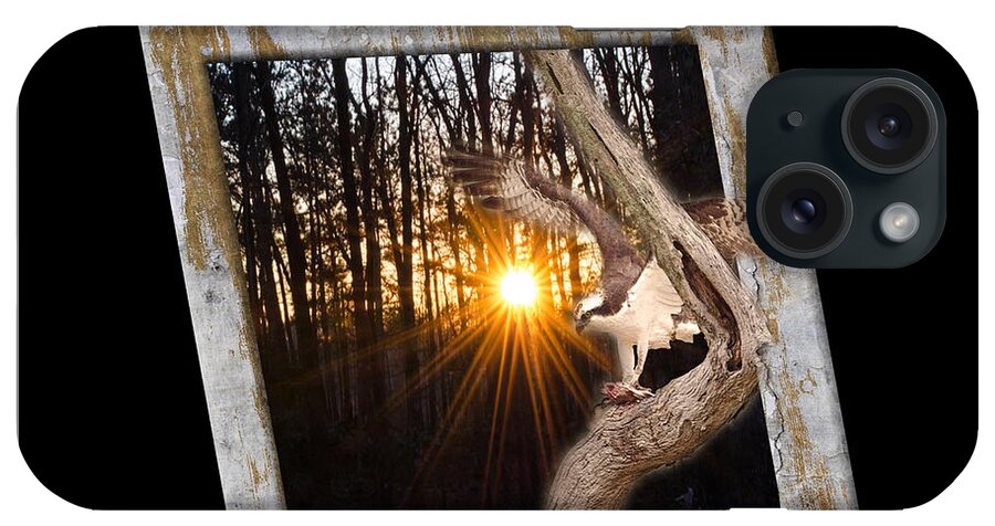Bird iPhone Case featuring the photograph Osprey At Sunset Black by Donna Brown