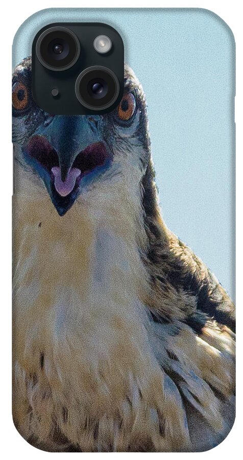 20160625 iPhone Case featuring the photograph Osprey Chick Smiles for the Camera Ultra Macro by Jeff at JSJ Photography