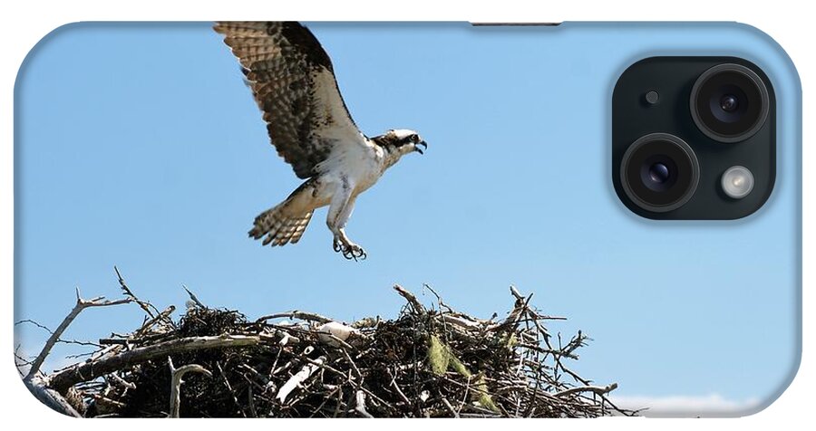 Osprey iPhone Case featuring the photograph Osprey by Lois Lepisto