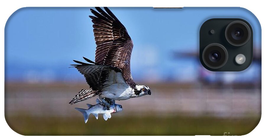 Osprey iPhone Case featuring the photograph Osprey With Dinner by Julie Adair