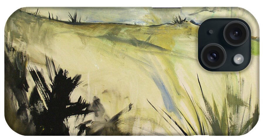  iPhone Case featuring the painting Ossabaw Swamp Thoughts by John Gholson