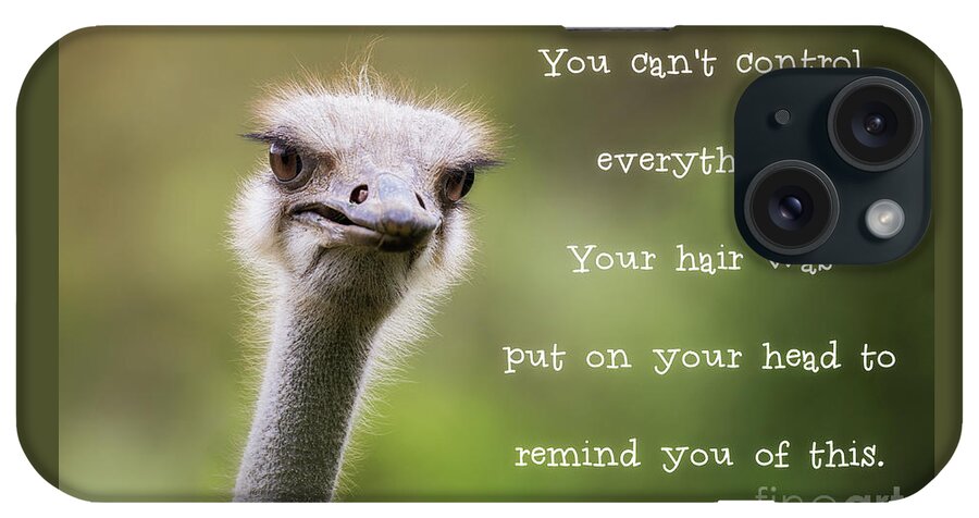 Ostrich iPhone Case featuring the photograph Ostrich having a bad hair day by Jane Rix