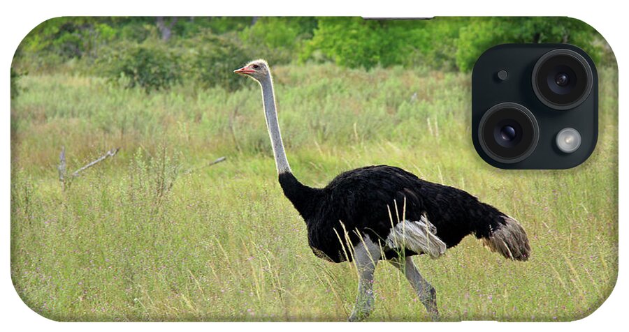 Ostrich iPhone Case featuring the photograph Ostrich by Richard Krebs