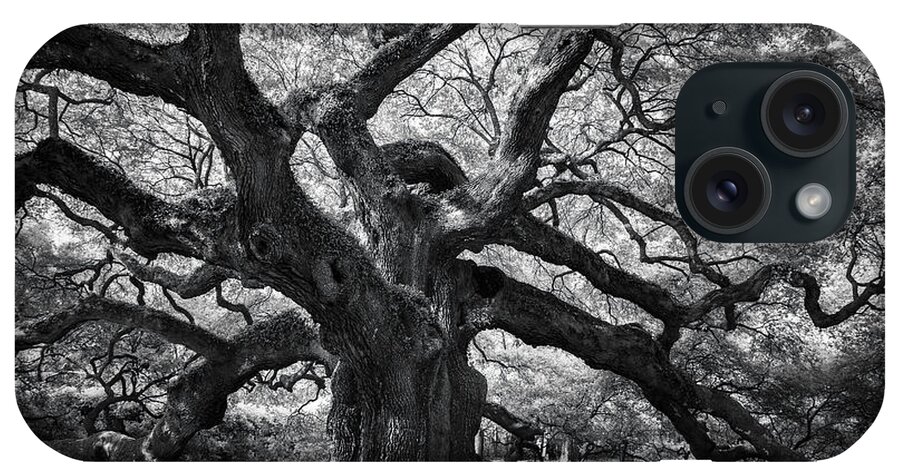 Angel Oak iPhone Case featuring the photograph Our Elder by Jon Glaser