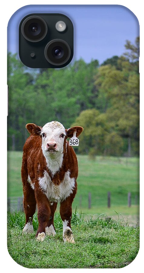 Cow iPhone Case featuring the photograph Out Standing in His Field by Cyndi Goetcheus Sarfan