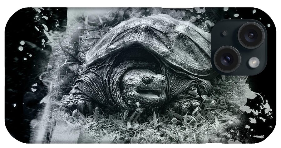 Turtle iPhone Case featuring the photograph Outa My Way by Sue Capuano