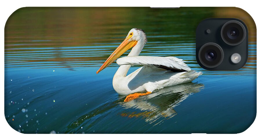 Pelican American White Pelican iPhone Case featuring the photograph Over the Falls by Michael Dawson