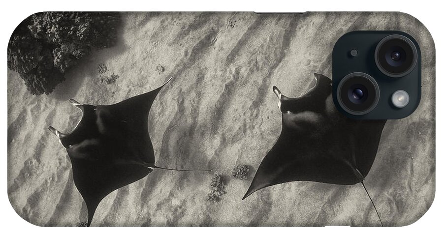 Manta Ray iPhone Case featuring the photograph Over The Sand by Aaron Whittemore