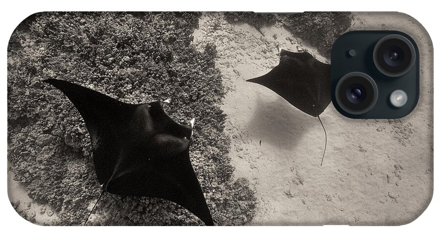 Manta Ray iPhone Case featuring the photograph Over The Reef by Aaron Whittemore