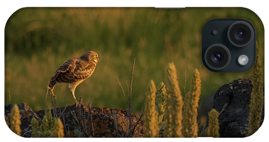 Owl iPhone Case featuring the photograph Owl Dancing At Dusk by Yeates Photography