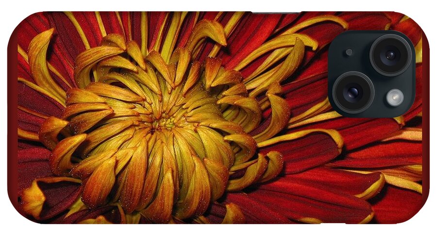 Flowers iPhone Case featuring the photograph Oy MumInYoo by Lori Lafargue