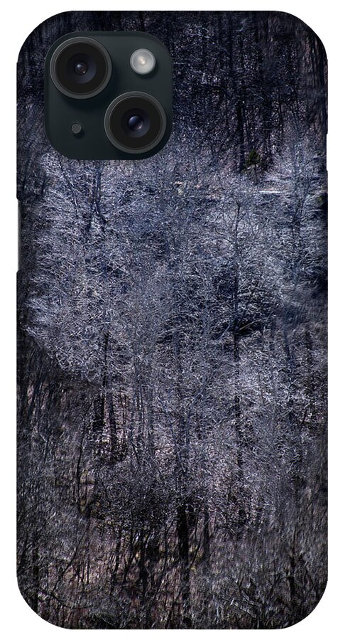 Autumn iPhone Case featuring the photograph Ozarks Trees #6 by David Chasey