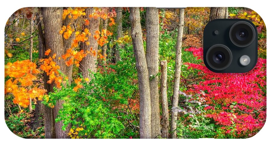 Pennsylvania iPhone Case featuring the photograph PA Country Roads - Autumn Flourish - Harmony Hill Nature Area - Chester County PA by Michael Mazaika