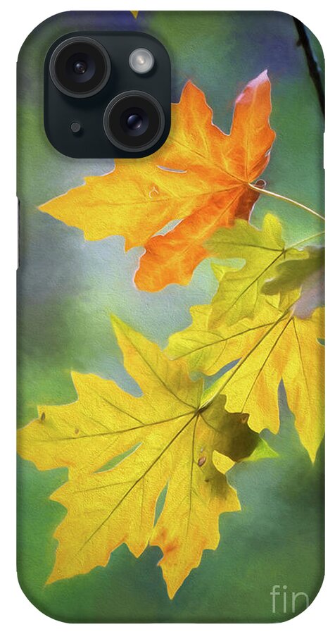 Leaves iPhone Case featuring the photograph Painted Autumn Leaves by Mimi Ditchie