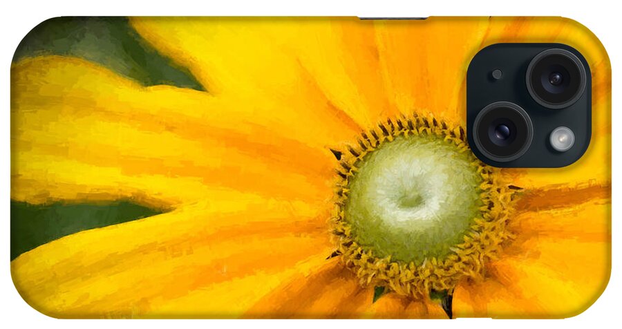 Flower iPhone Case featuring the photograph Painted Daisy by Cathy Donohoue
