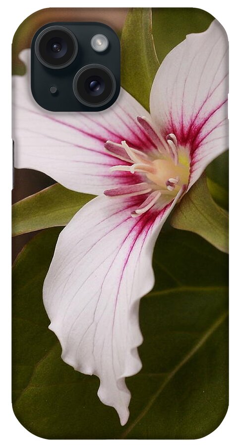 Trillium iPhone Case featuring the photograph Painted Trillium II by Harry Moulton