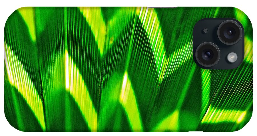 Palm Leaf iPhone Case featuring the photograph Palm Abstract by Michael Cinnamond