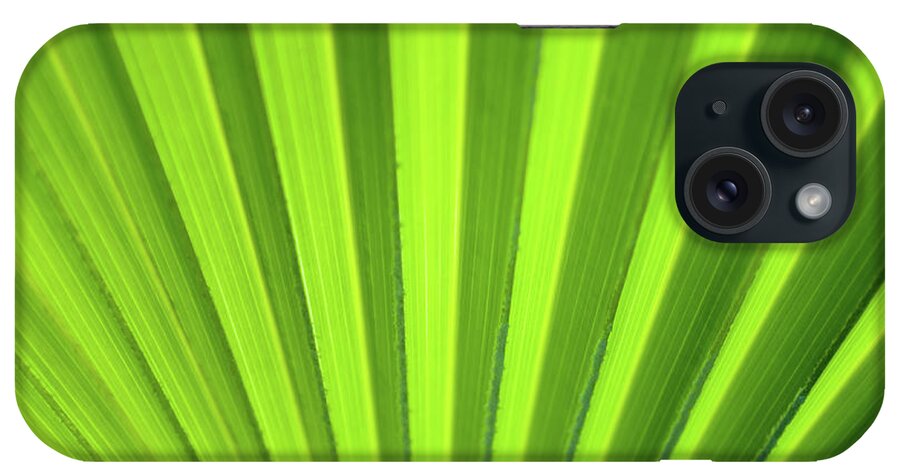 Abstract iPhone Case featuring the photograph Palm Leaf Abstract by Denise Bird