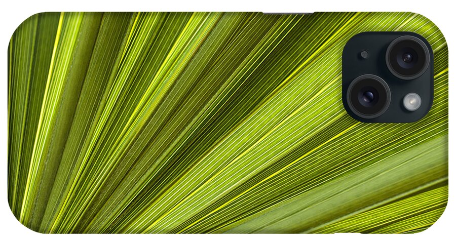 Leaf iPhone Case featuring the photograph Palm leaf abstract by Elena Elisseeva