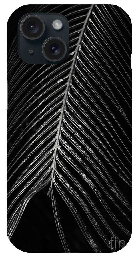 Palm Leaf iPhone Case featuring the photograph Palm Leaf by Deborah Benoit