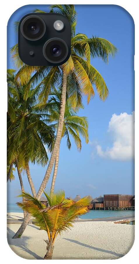 Tropical Paradise iPhone Case featuring the photograph Palm Paradise by Corinne Rhode