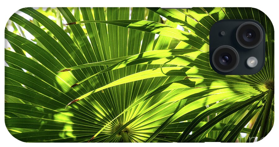 Leaves iPhone Case featuring the photograph Palm Rythmn by Kathy Strauss