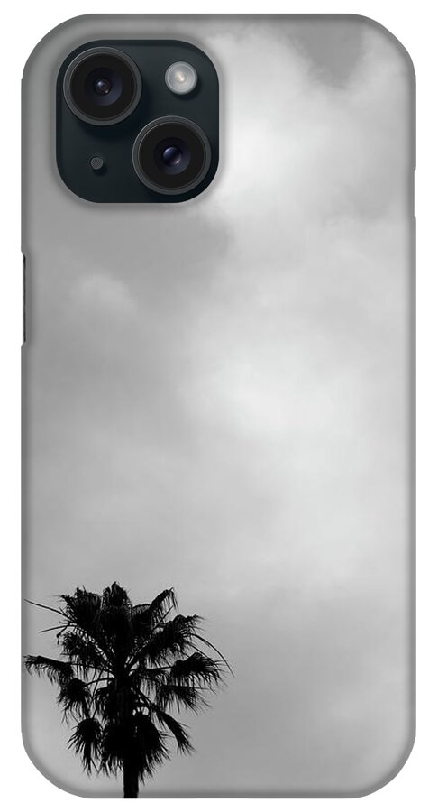 Palm iPhone Case featuring the photograph Palm Tree and Clouds by David Gordon