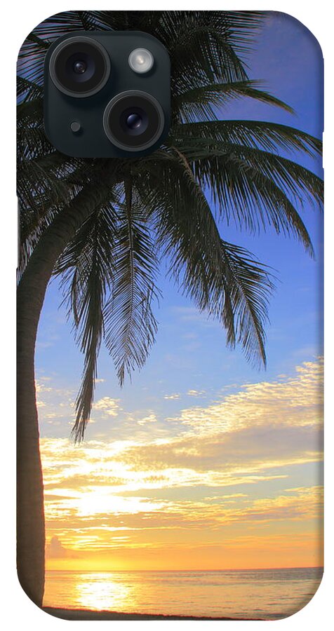 Palm Tree iPhone Case featuring the photograph Palm Tree at Sunrise, Riviera Maya Mexico by Roupen Baker
