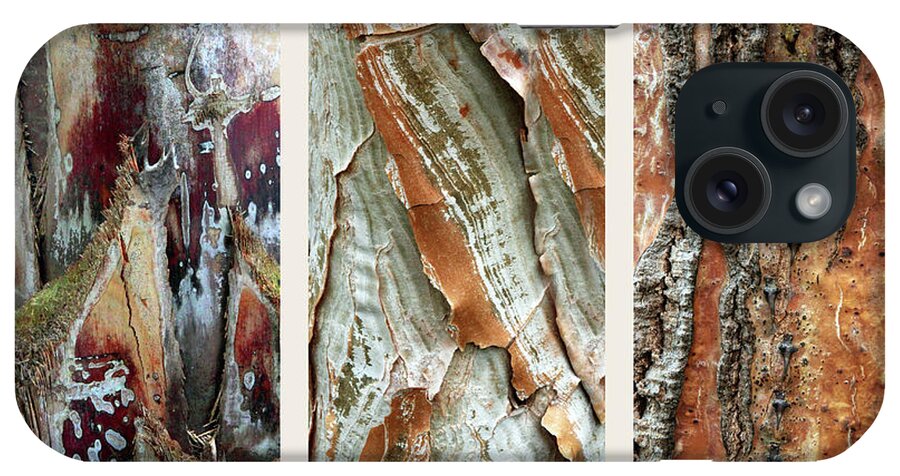 Bark iPhone Case featuring the photograph Palm Tree Bark Triptych by Jessica Jenney